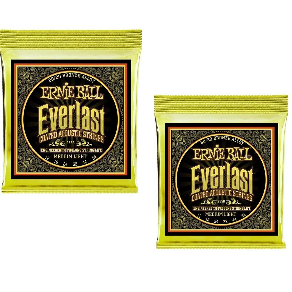 ernie ball everlast