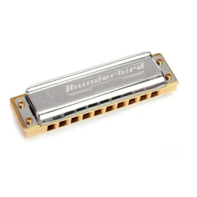 Hohner Marine Band Thunderbird Harmonica - Key of Low Bb