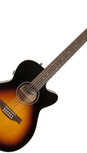 Seagull S12 Spruce Sunburst Concert Hall 12 String  Acoustic / Electric Guitar