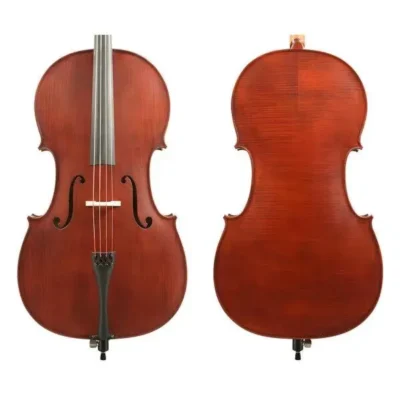 Gliga 1 - 4/4 Cello Outfit Antique Varnish professionally set up