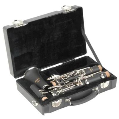 SKB Clarinet Case Fits Bb Clarinets all models , Case only ,1SKB-320