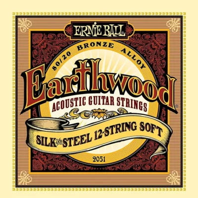Ernie Ball Earthwood Silk and Steel 12-String Soft Acoustic Set, .009 - .046