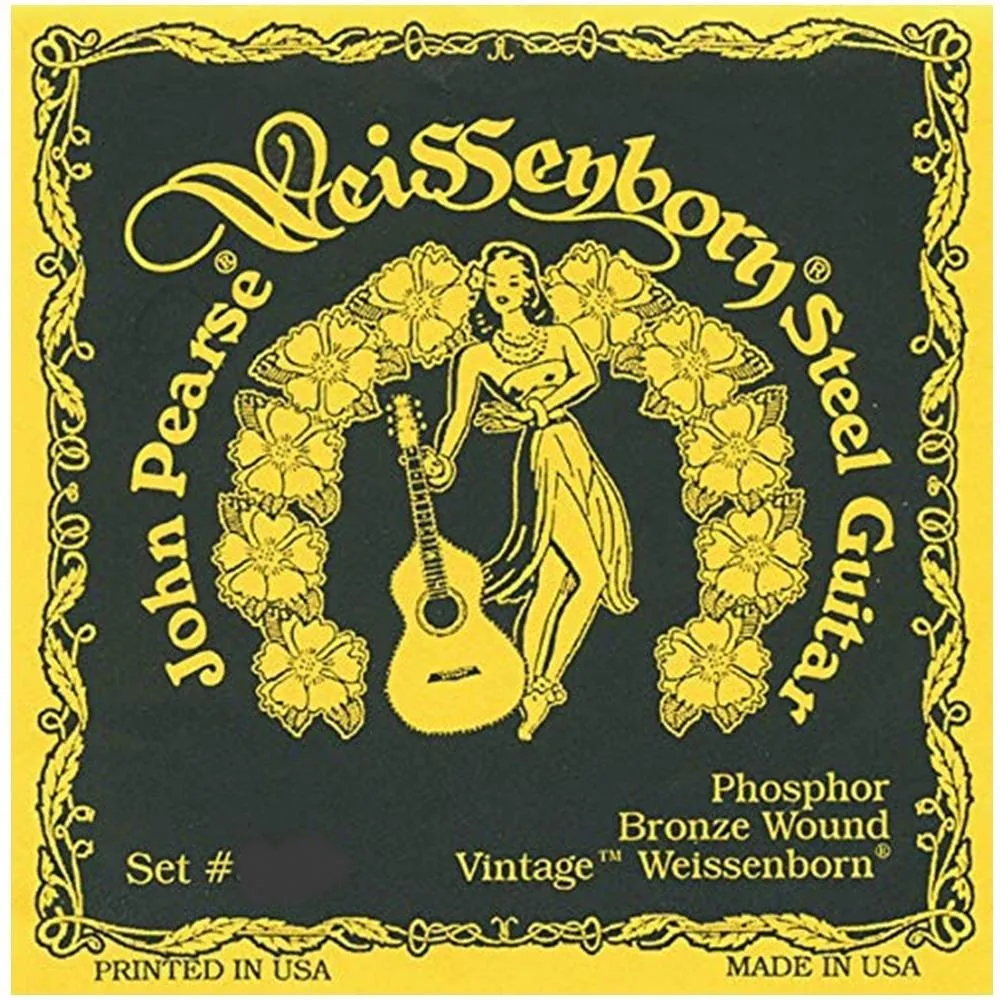 John Pearse 3110 Phosphor Bronze Weissenborn Guitar Strings (G) 17-62