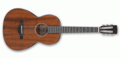 IBANEZ AVN9 OPN ARTWOOD VINTAGE ACOUSTIC GUITAR
