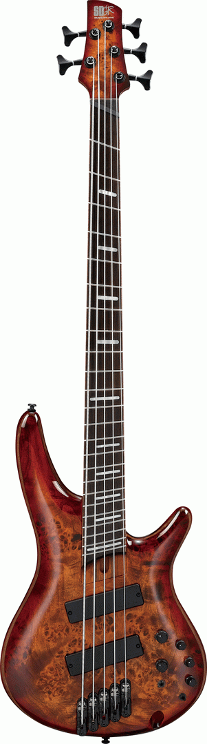 IBANEZ SRMS805 BTT ELECTRIC 5  STRING BASS