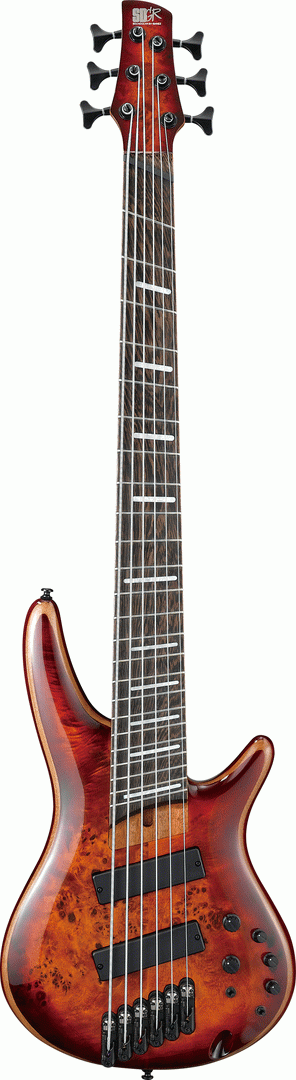 IBANEZ SRMS806 BTT ELECTRIC 6  STRING BASS