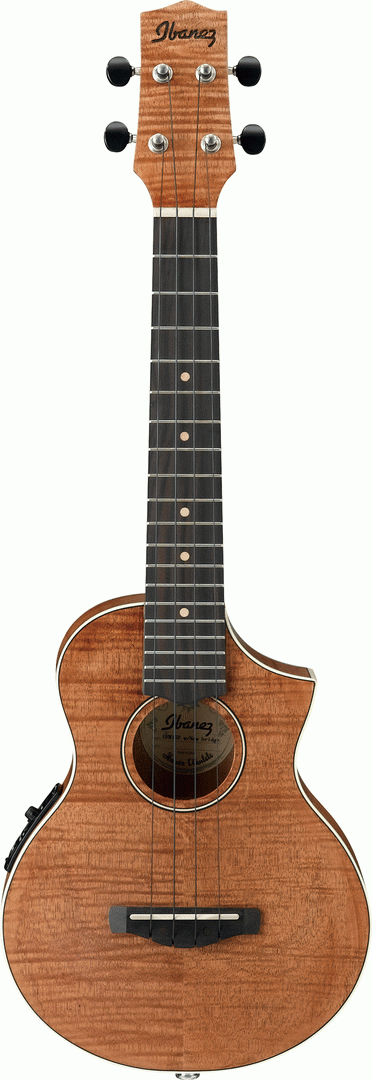 IBANEZ UEW15E OPN CONCERT UKULELE