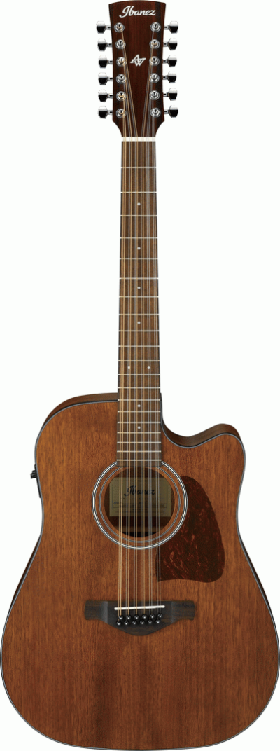 IBANEZ AW5412CE OPN ARTWOOD 12 STRING AC GUITAR