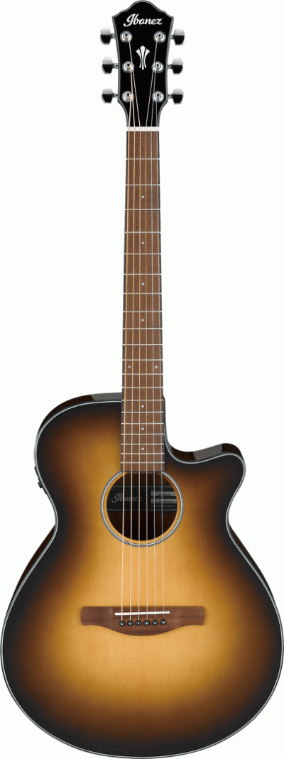 IBANEZ AEG50 DHH ACOUSTIC GUITAR