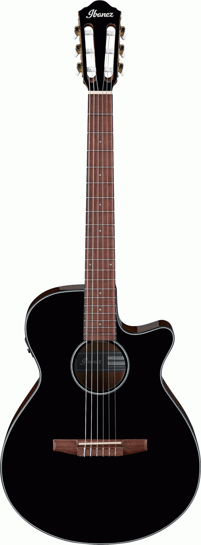 IBANEZ AEG50N BKH NYLON ACOUSTIC GUITAR