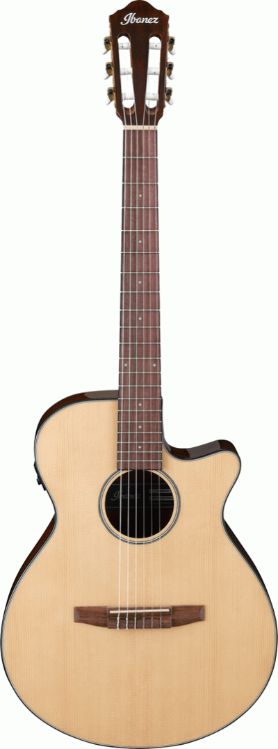 IBANEZ AEG50 NNT NYLON ACOUSTIC GUITAR