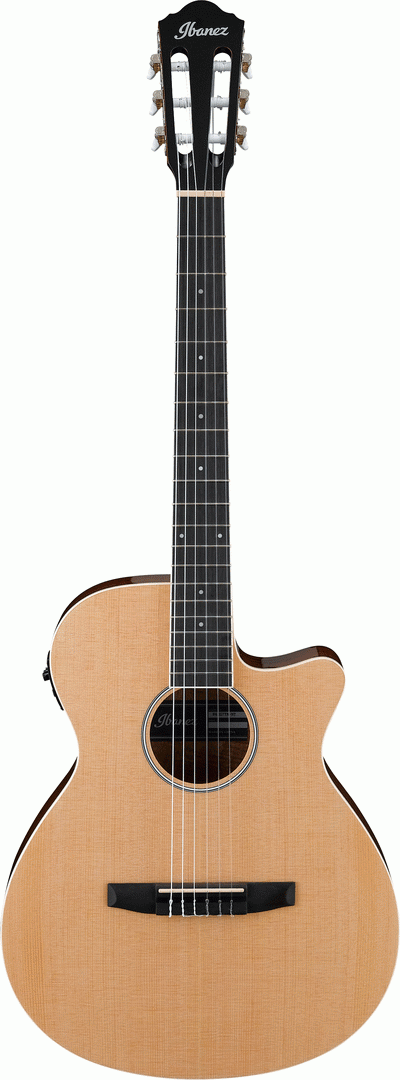 IBANEZ AEG7TN NT NYLON ACOUSTIC GUITAR