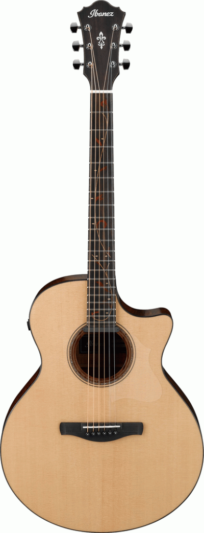 IBANEZ AE325 LGS AC GUITAR