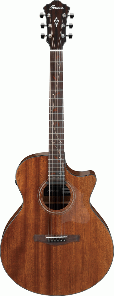 IBANEZ AE295 LGS AC GUITAR