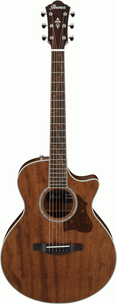IBANEZ AE245JR OPN ACOUSTIC GUITAR