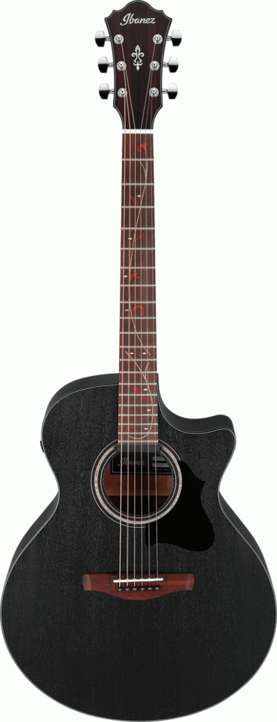 IBANEZ AE295 WK AC GUITAR