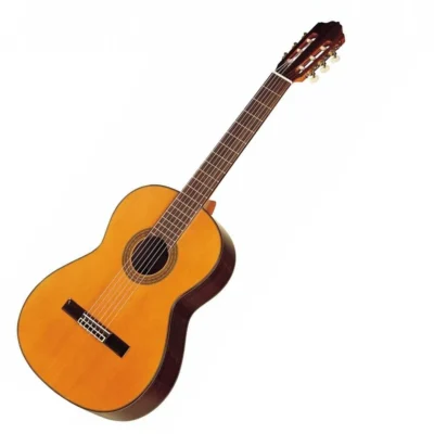 Esteve 7CD Solid Cedar Top Classical Guitar Rosewood back and sides