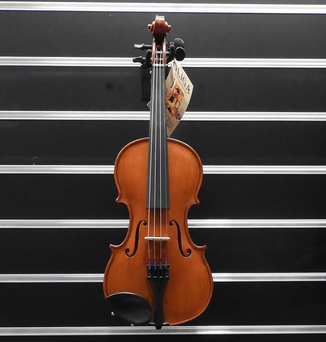 Gliga II Violin 1/2 Size Oil Varnish Outfit C/w Bow & Case