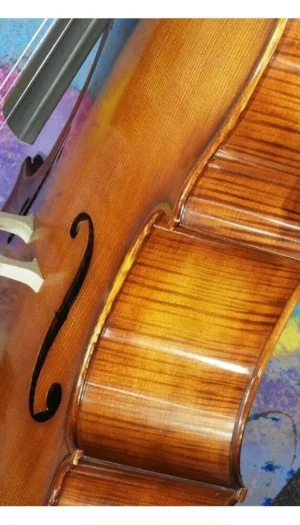 Hora Hand Carved European Professional Symphony 4/4 Cello Setup Jargar strings