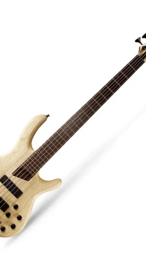 Cort Artistian series B5 Plus AS OPN 5-String Electric Bass - Swamp Ash
