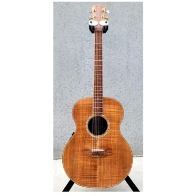 Cole Clark Grand Auditorium Master Grade All Blackwood Acoustic / Electric Guitar