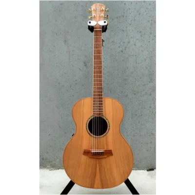 Cole Clark Grand Auditorium Master Grade Rare King Billy Top Acoustic Guitar
