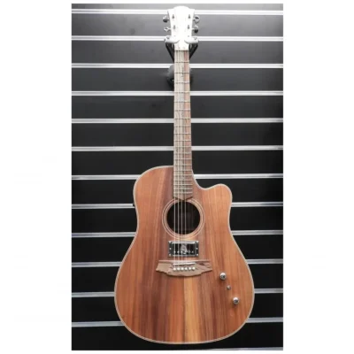 Cole Clark All Blackwood Acoustic / Electric Guitar w/Humbucker