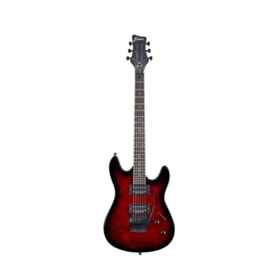 FRAMUS Diablo Progressive X Electric Guitar Floyd Seymour Duncan Pup's