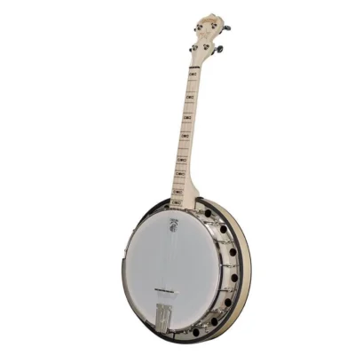 Deering Goodtime Special 17-Fret Tenor 4 string  Resonator & Tone Ring