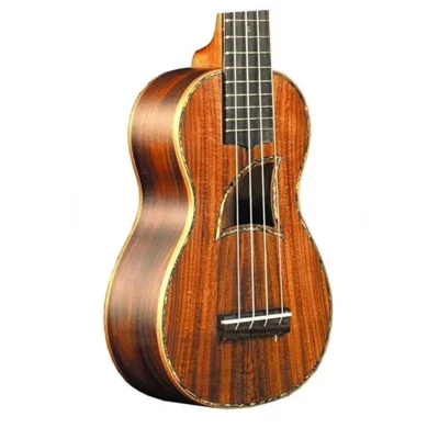 Eddy Finn EF-25C Koa Concert Ukulele Abalone Binding Aquila Strings Gold Tuners