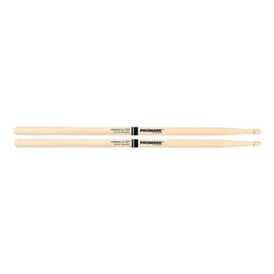 Promark Forward 5A .565" Hickory Acorn Wood Tip