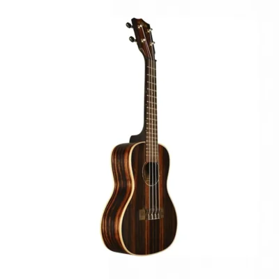 Kala KA-EBY-C Striped Ebony Concert Ukulele