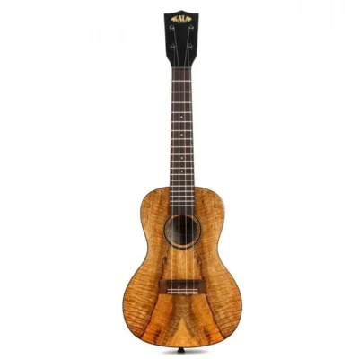 Kala KA-MG-C Concert Ukulele - Spalted Mango