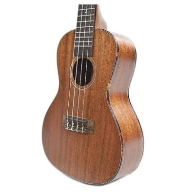 Kala KA-SMHC Solid Mahogany Top Back and Sides Concert  Ukulele Aquila Strings