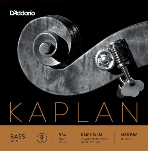D'Addario Kaplan Solo Double Bass B String, 3/4 Scale, Medium Tension