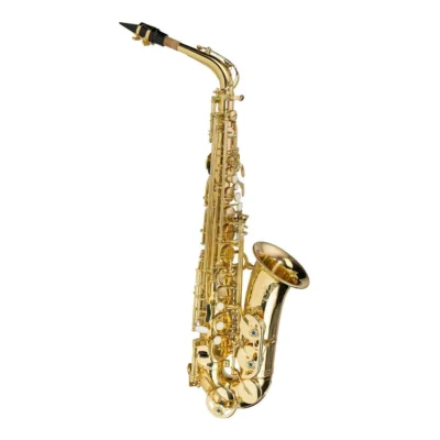 Steinhoff Intermediate Alto Saxophone High F# mechanism Blue steel springs