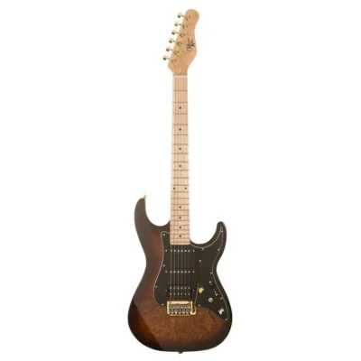 Electric Guitar 1960 Burl Burst