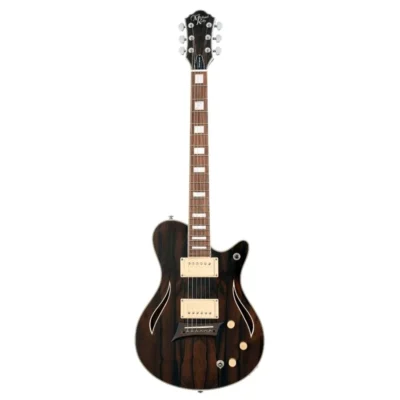 Electric Guitar Hybrid Special Dark Ziricote top(Fishman/Rockfield) pferroFB