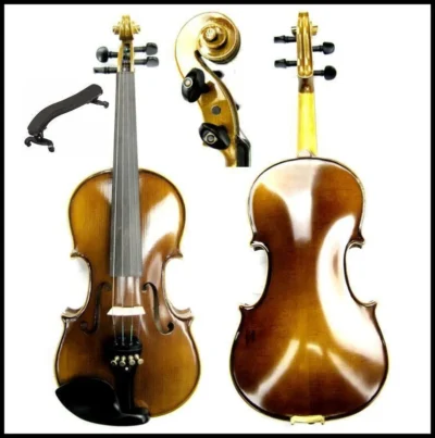 Violin Francesco Cervini 4/4 SV-2 Outfit D'addario Prelude Strings shoulder Rest