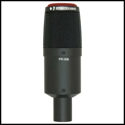 Heil Sound PR 30B Large-Diaphragm Dynamic Microphone in Black