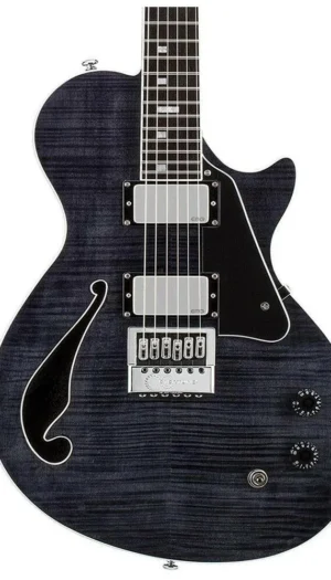 ESP LTD BW-1 FM/ET Ben Weinman Signature Model Electric Guitar