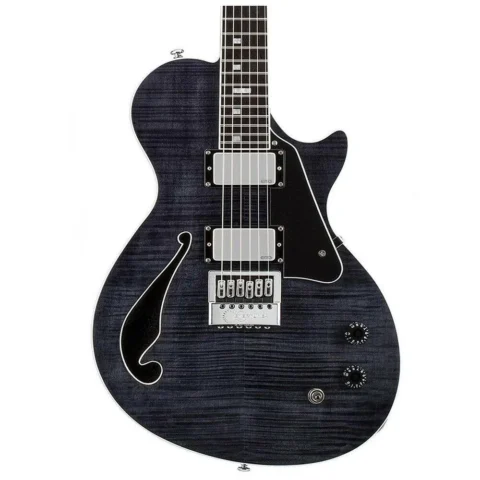 ESP LTD BW-1 FM/ET Ben Weinman Signature Model Electric Guitar