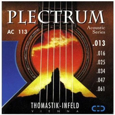 Thomastik-Infeld Plectrum Bronze Acoustic Guitar Strings 13 - 61 AC113