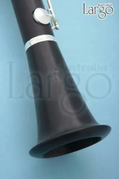 Renown Bb Solid wood Ebony Clarinet Clarinet