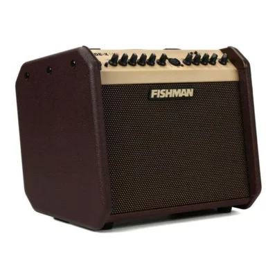Fishman Loudbox Mini with Bluetooth 60-watt 1x6.5" Acoustic Combo Amp