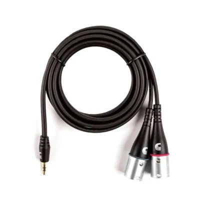 D'Addario Custom Series 1/8 Stereo Male to Dual  XLR Audio Cable