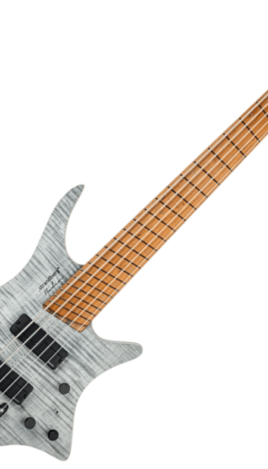 STRANDBERG Boden Electric 5-String Bass Guitar Standard - Black