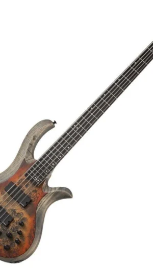 Schecter Riot-5 String Electric Bass - Inferno Burst Swamp Ash Body, Burl Top