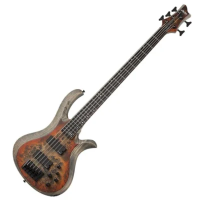 Schecter Riot-5 String Electric Bass - Inferno Burst Swamp Ash Body, Burl Top