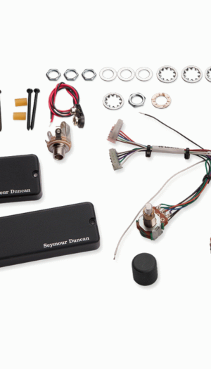 SEYMOUR DUNCAN ASB-2ASB Steve Bailey 4/5 String Pickup Set w/ 2 Band Tone Contro